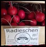 Vogerlsalat Feld Reihen